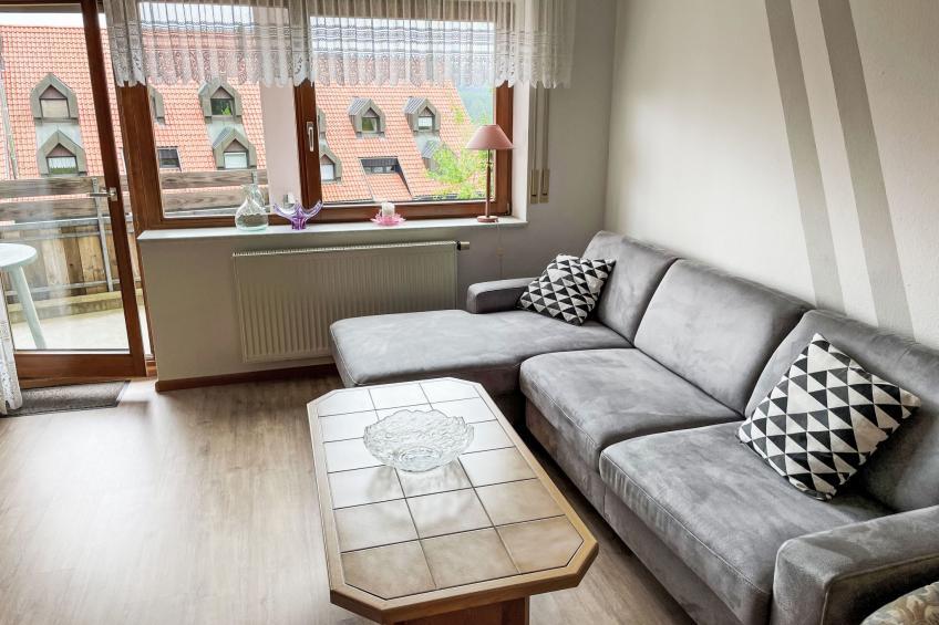 Schwarzwaldblick - foto 6