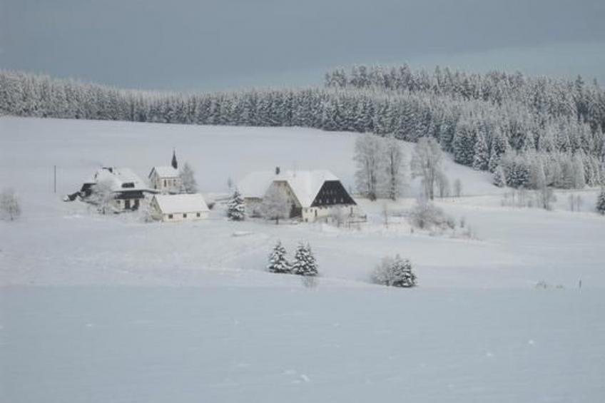 Appartement mit Garten in Schwärzenbach - foto 23