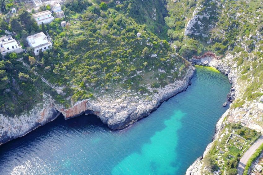 Girasoli in Tricase Porto - foto 44