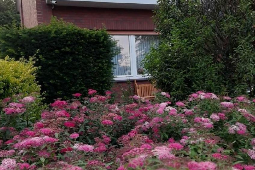 FeWo mit Ausblick - foto 9