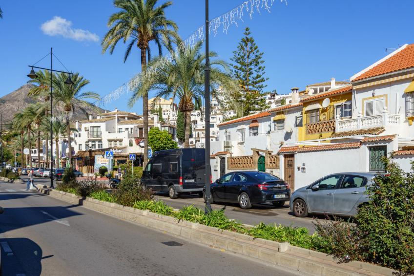 Los Nadales - foto 46