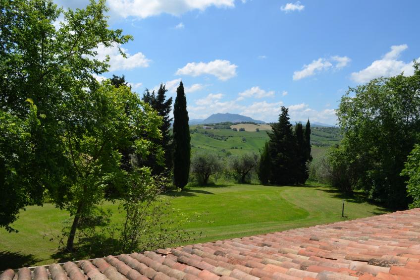 Villa degli Ulivi - foto 31