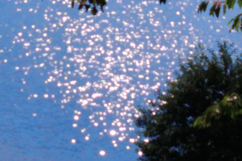 FeWo Sonnenblume - foto 29