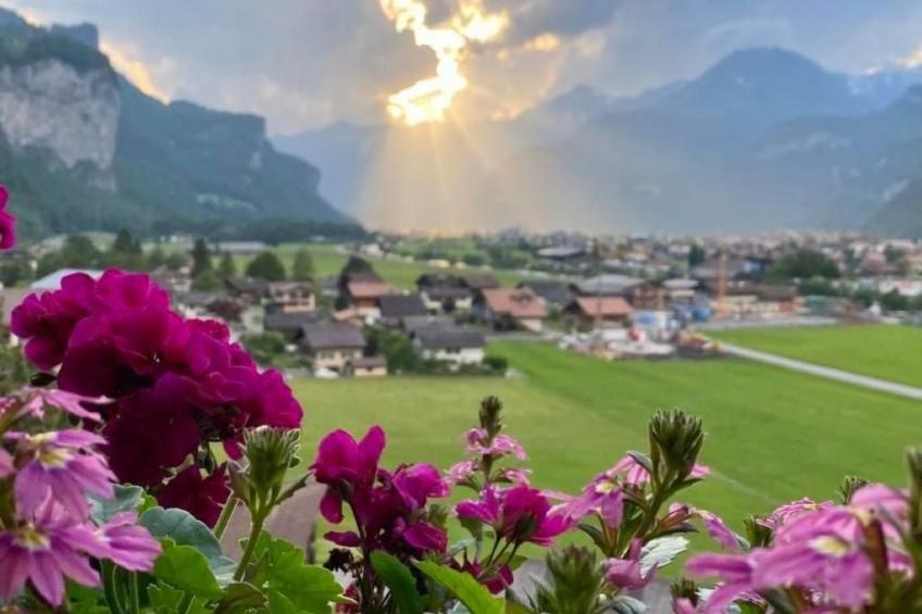 Aareschlucht - Erholung ab 2 Nächten - foto 28