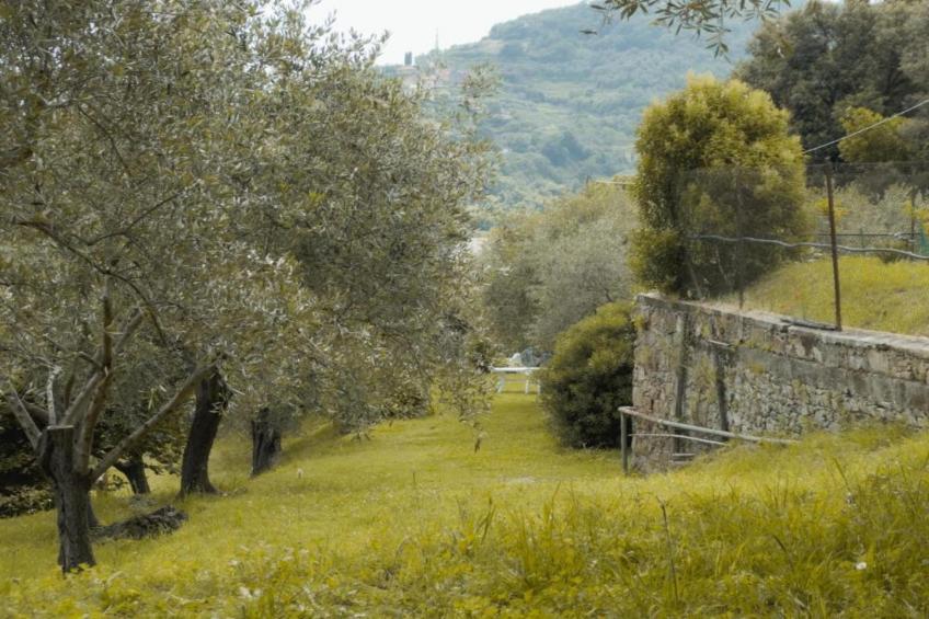 Gromoletta - foto 33