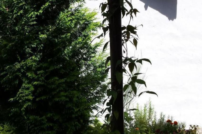 Haus San Cristoforo - Atelier - foto 38