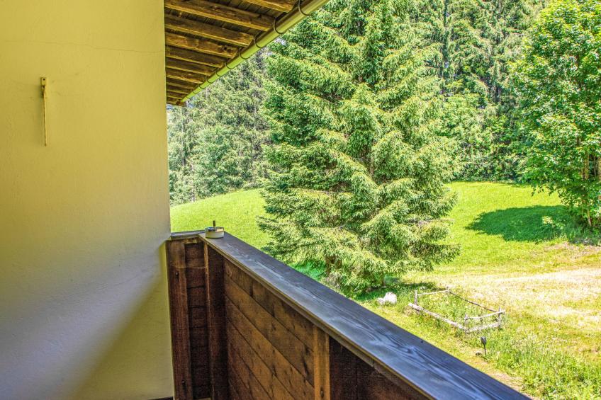 Studio Esche 3 - foto 44