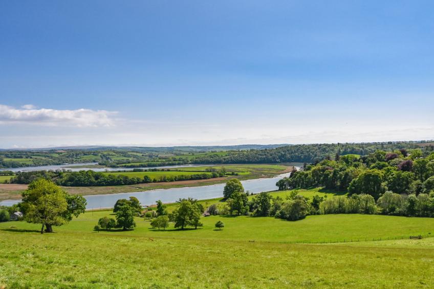 Historic Castle on River Tamar - foto 5