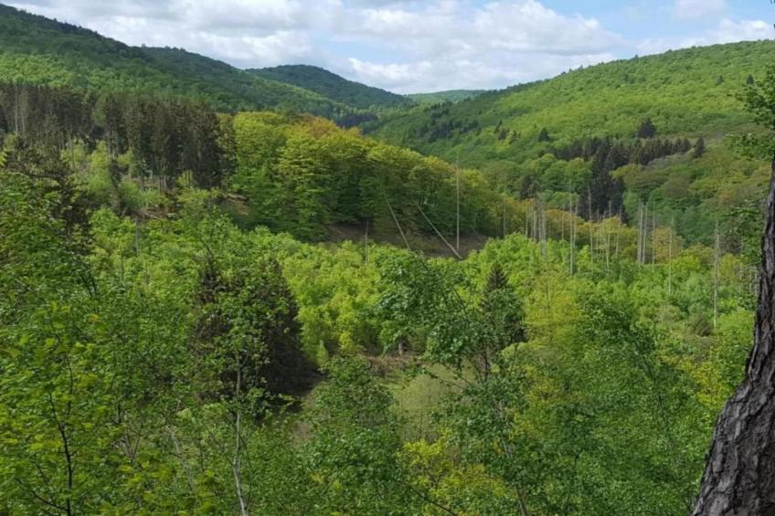 Ferienwohnung Frankenberg - foto 37