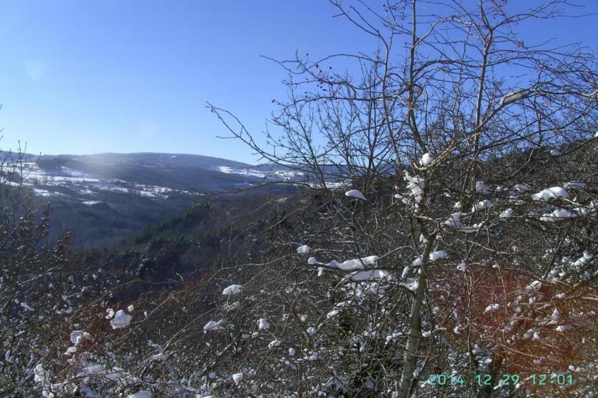 Goutte-Claire - foto 37