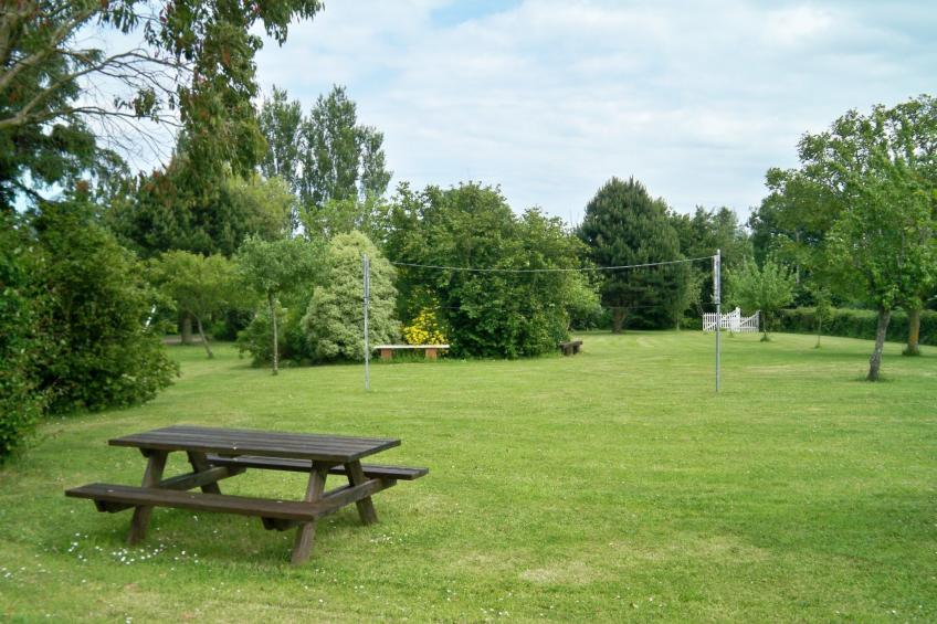 "L'Eucalyptus - foto 4