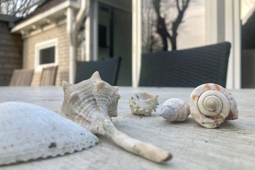 Ruhiges Ferienhaus mit großer offener Küche - foto 34