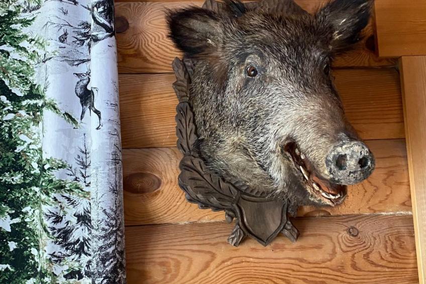 am Rennsteig - foto 10