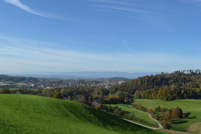 Bättwil - foto 17