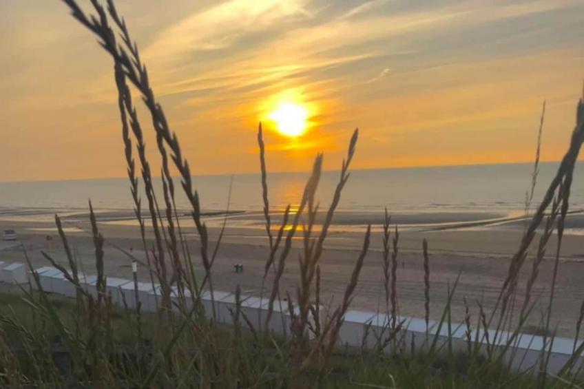 Residentie Shamrock Bianca - foto 31