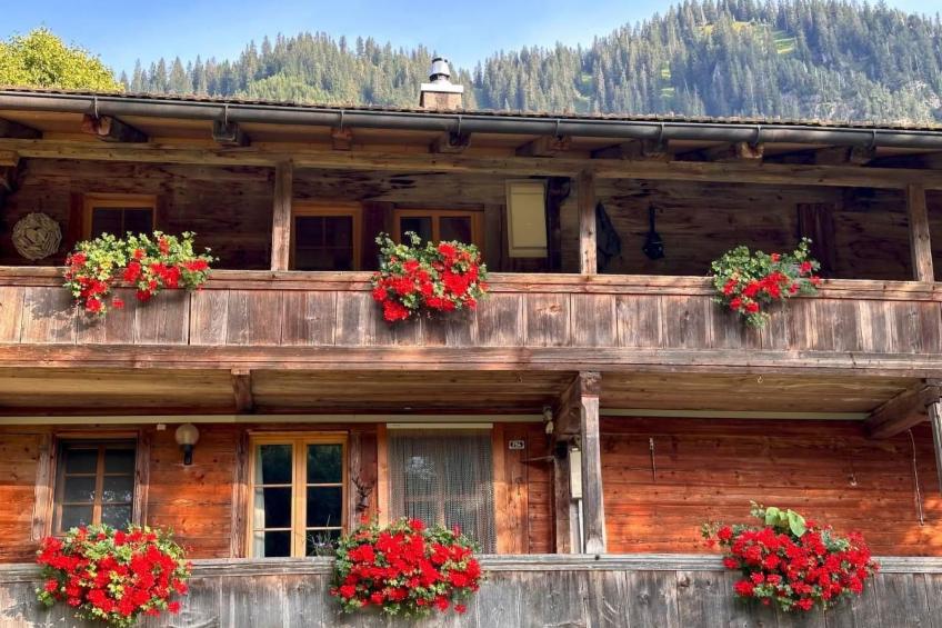 Wohnung Niesenblick - foto 2