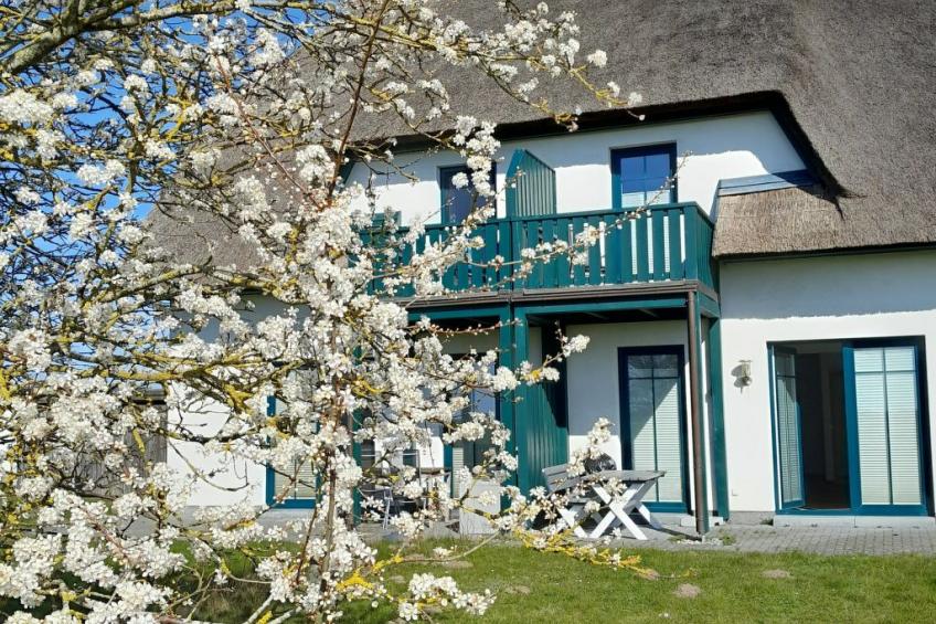 Seeschwalbe - foto 27