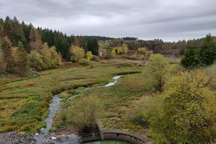 Ferienhaus in Hasselfelde - Haus 59 Blauvogel - foto 42