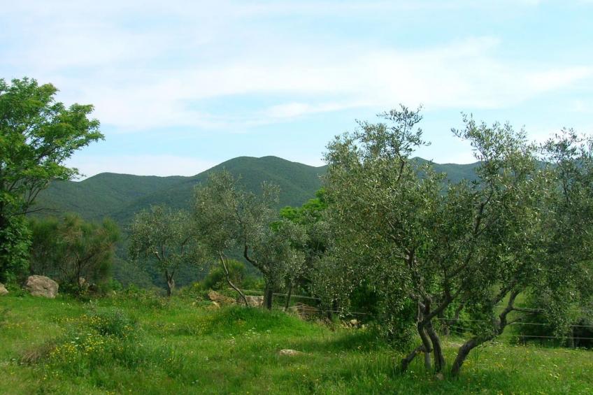 Wohnung Grecale in Castellina Marittima - foto 21