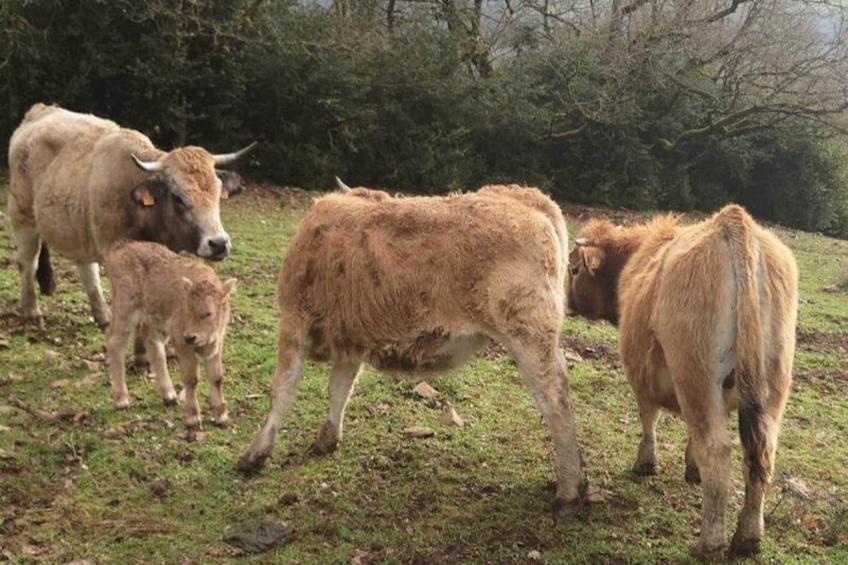 Gîte de France Gîte "la nature" 4 épis - foto 19