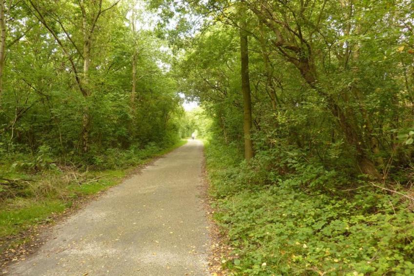 B&B de Gouwe Tijd - foto 21