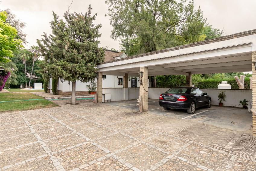 Las Codornices - foto 49