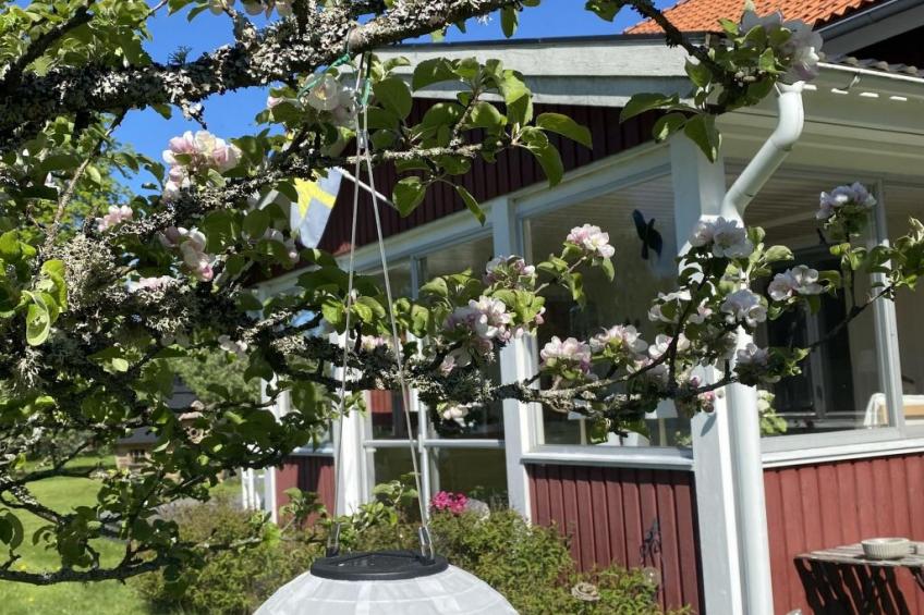 Skuggebo Gårdsjön - foto 13