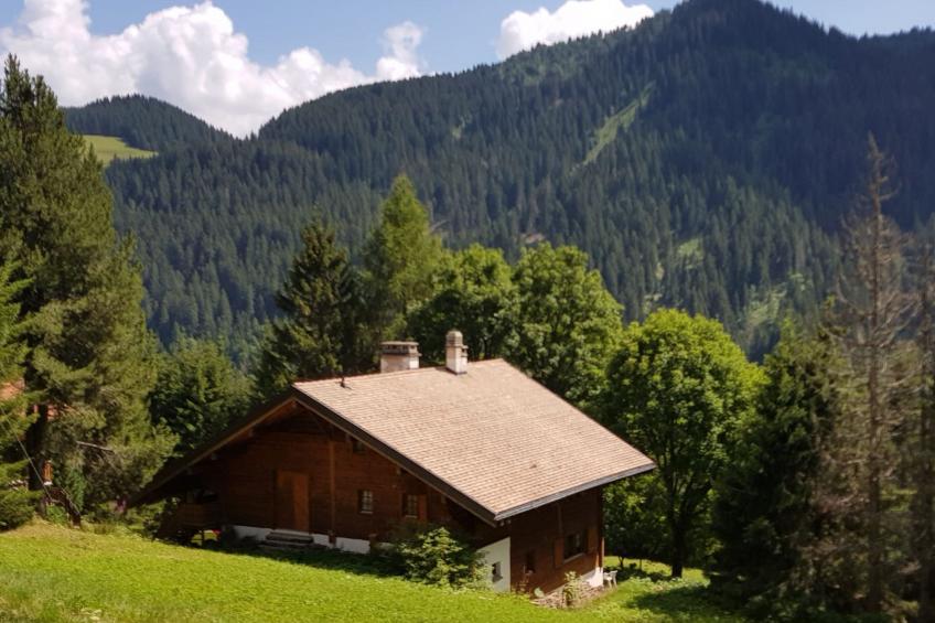 Chalet Carmazin, (Morgins), - foto 4