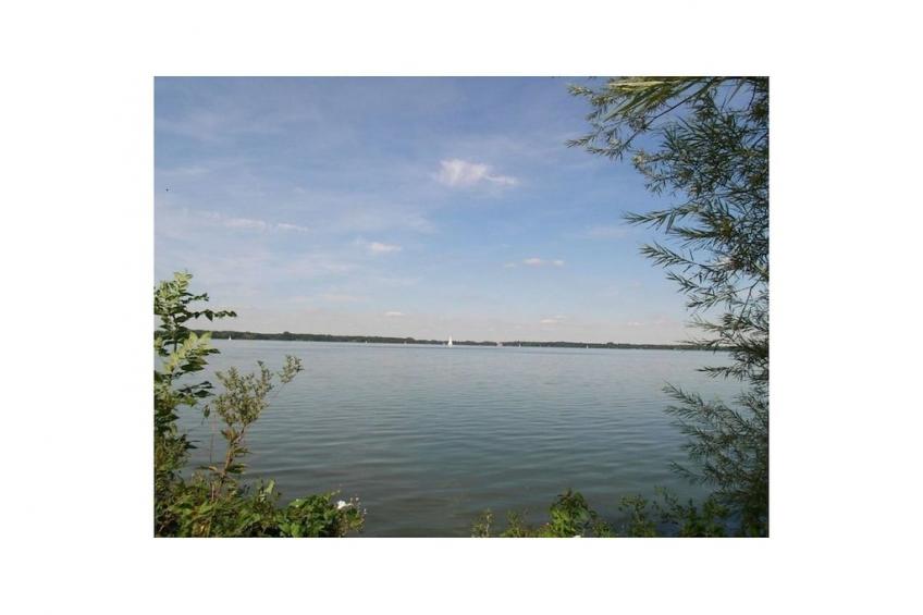 267047 - foto 17