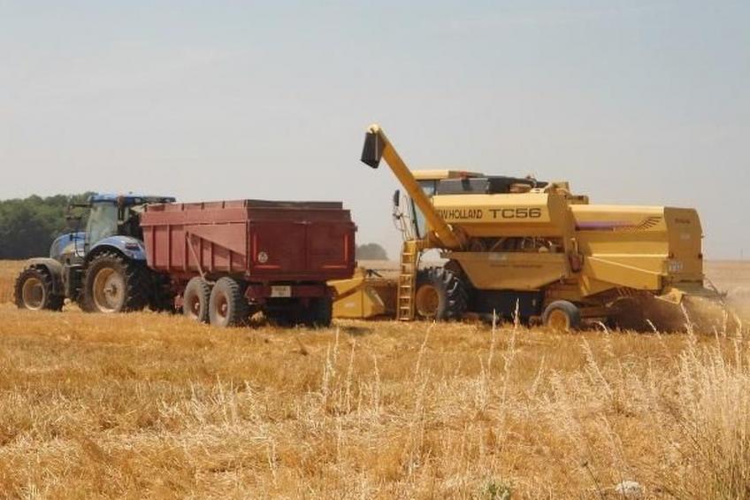 Haus im Herzen eines landwirtschaftlichen Betriebs - foto 18
