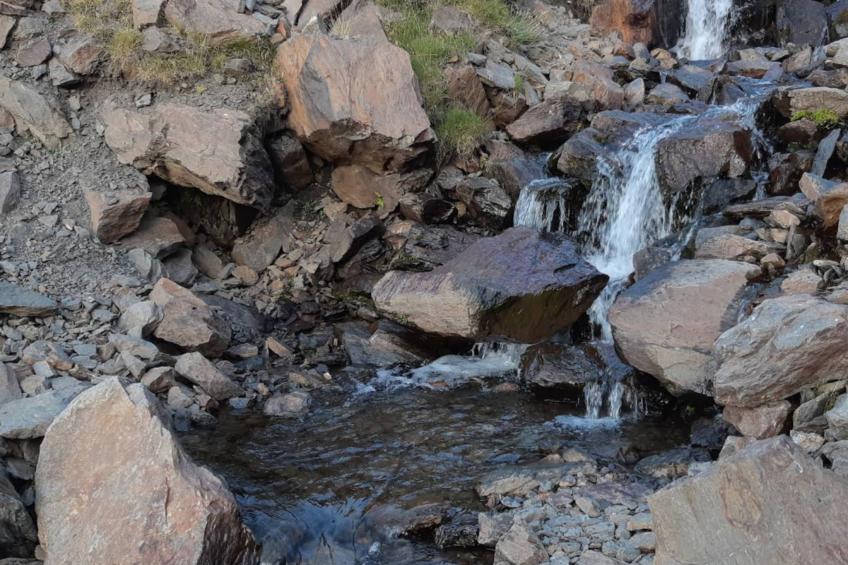 1468-Montebajo - foto 23