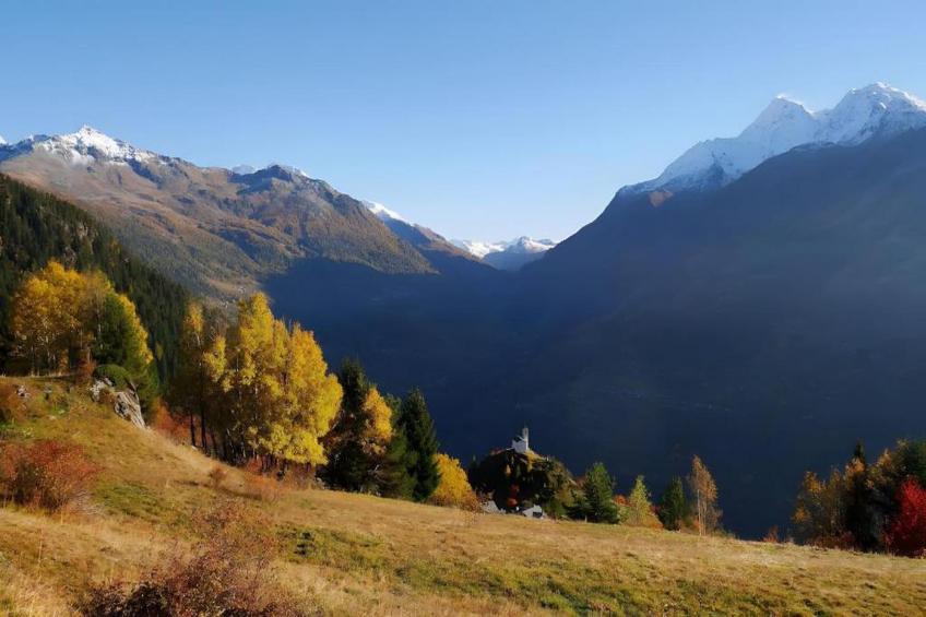 Chalet Le Refuge - foto 30