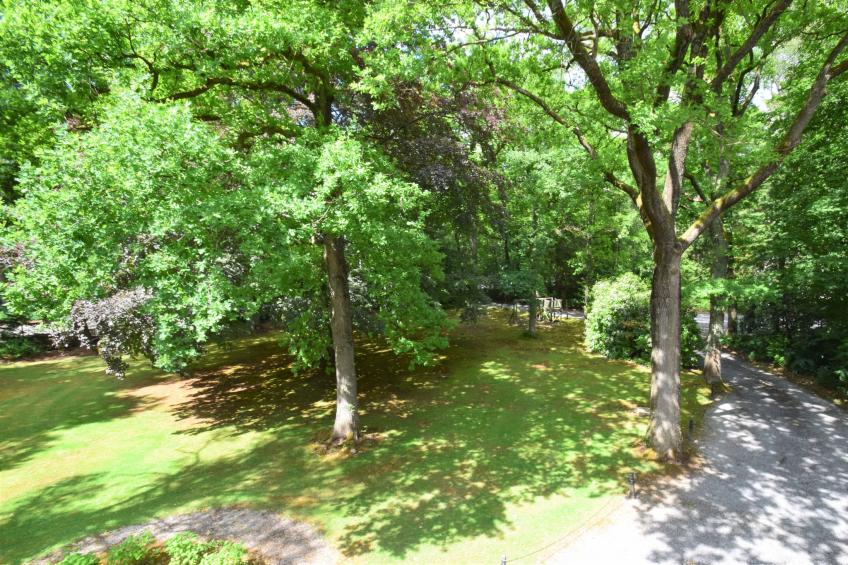 Le Château et les Forêts - foto 35