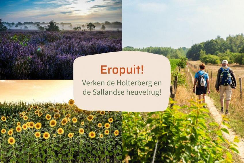 Oak Lodge I 4 people - foto 11