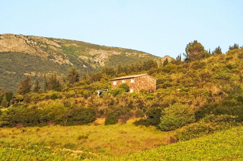 Stone Cottage - foto 32