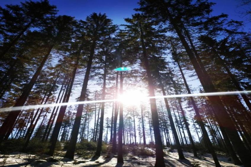 Luksusowa Willa w górach 200 m od wyciągu - foto 28