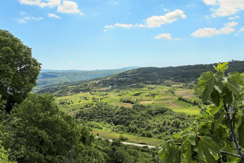 Villa Zita - foto 48