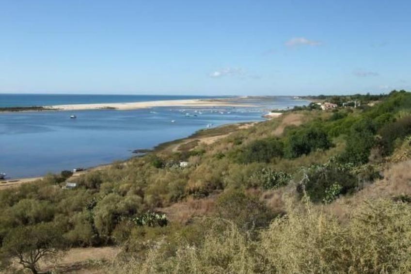 Nettes Ferienhaus in Altura mit Gepflegtem Garten - foto 42