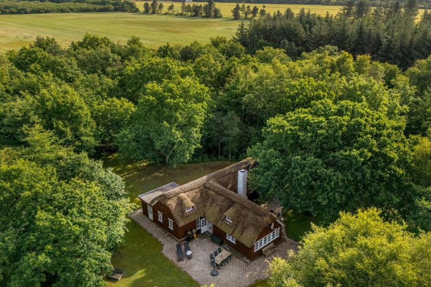 "Fina" - 15km from the sea in Western Jutland - foto 31