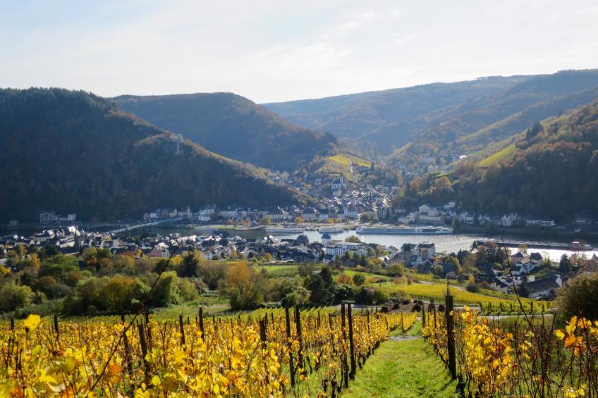 Moselromance mit großer Sonnenterrasse - foto 39