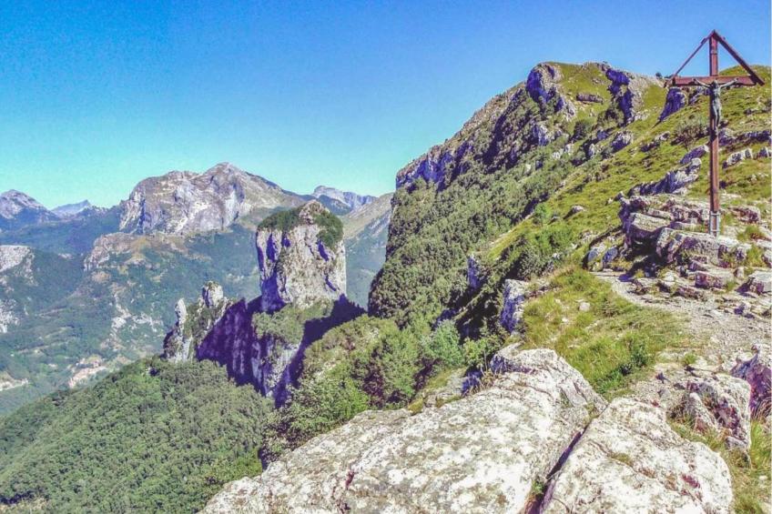 Gelsomino Piccolo - foto 40