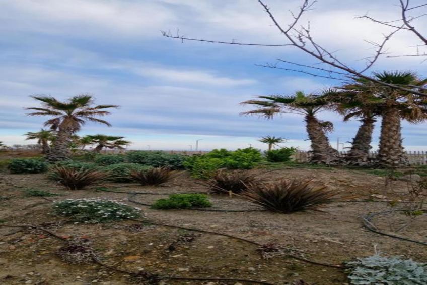 La Dune N°32 - Villa 2P4 - foto 39