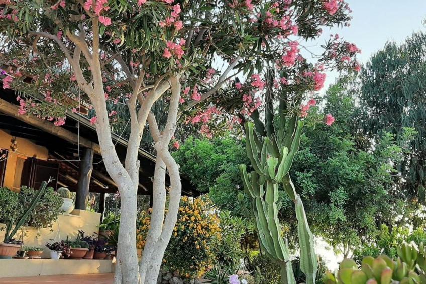 Villa Panorama Wohnung in privater Villa - foto 18