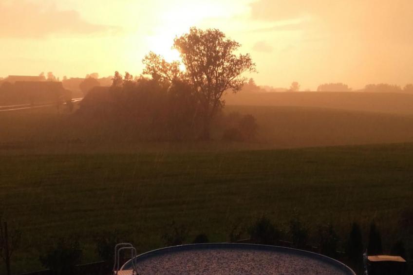 Wohnung mit großer Gartenterrasse und Ausblick - foto 11