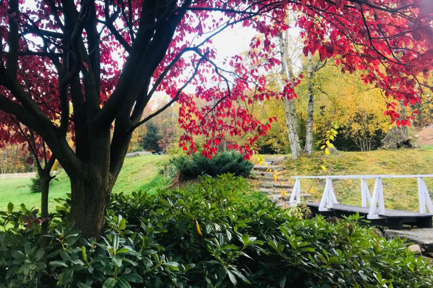 Exklusives Ferienhaus mit Schwimmbad direkt am Wasser - foto 56