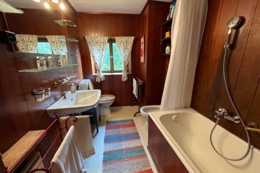 Alte typische Engadinermühle - foto 11