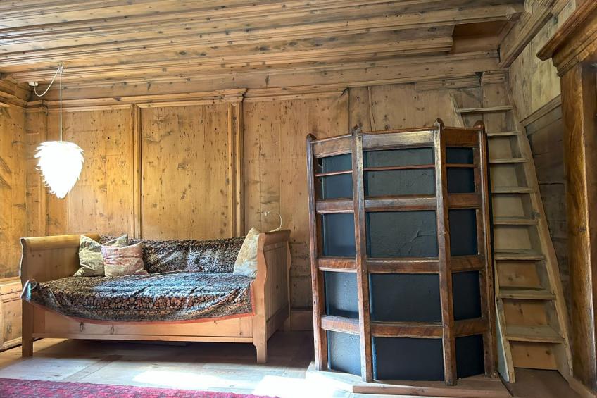 Chesa Delfins - foto 8