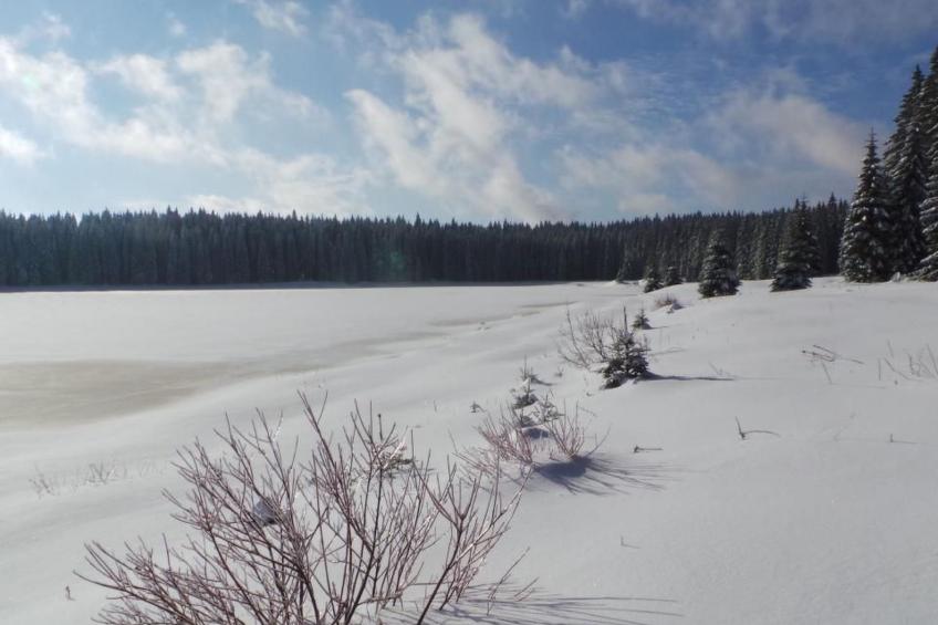 Fewo "Henneberg" - foto 7