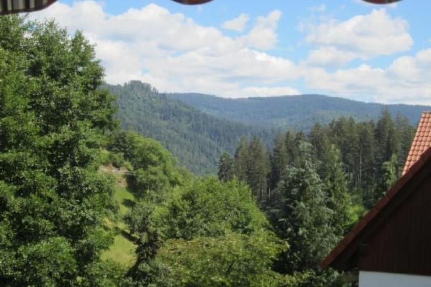 Charmante Wohnung in Bermersbach - foto 3