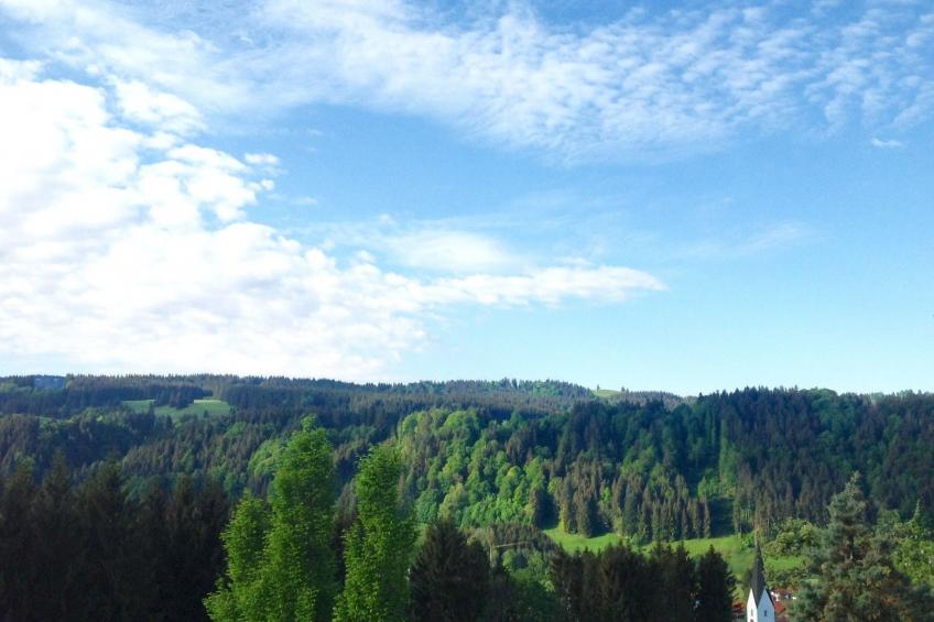 Kräuterhof-Ferienwohnung - foto 23